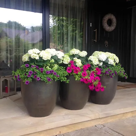 Haus Drossel Alojamento de Acomodação e Pequeno-almoço *