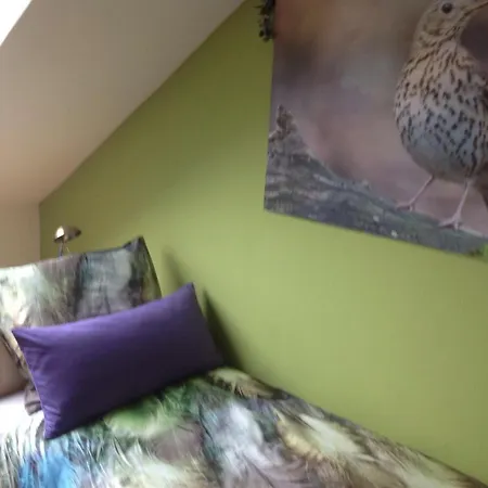 Haus Drossel Bed and breakfast