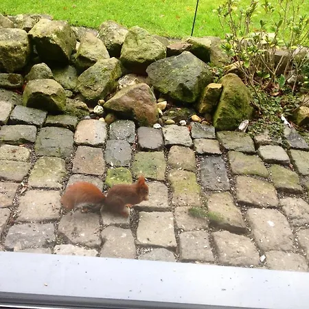 Haus Drossel Alojamento de Acomodação e Pequeno-almoço *