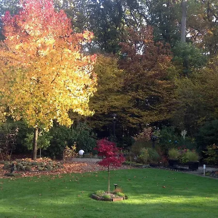 Haus Drossel Bed and breakfast Schuettorf