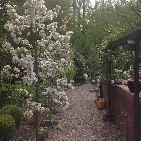 Bed and breakfast Haus Drossel