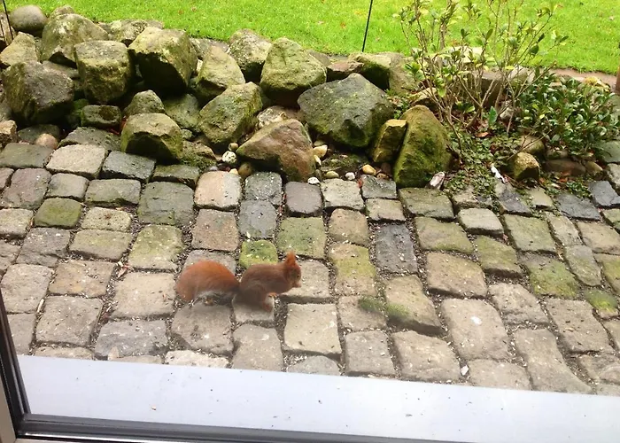 Haus Drossel Отель типа 